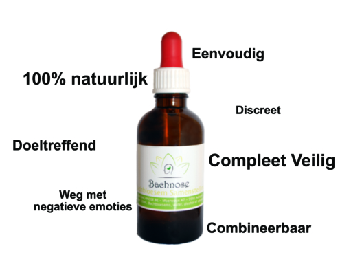 Banner voor Bachnose